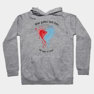 Divine Mercy Heart of Jesus Hoodie